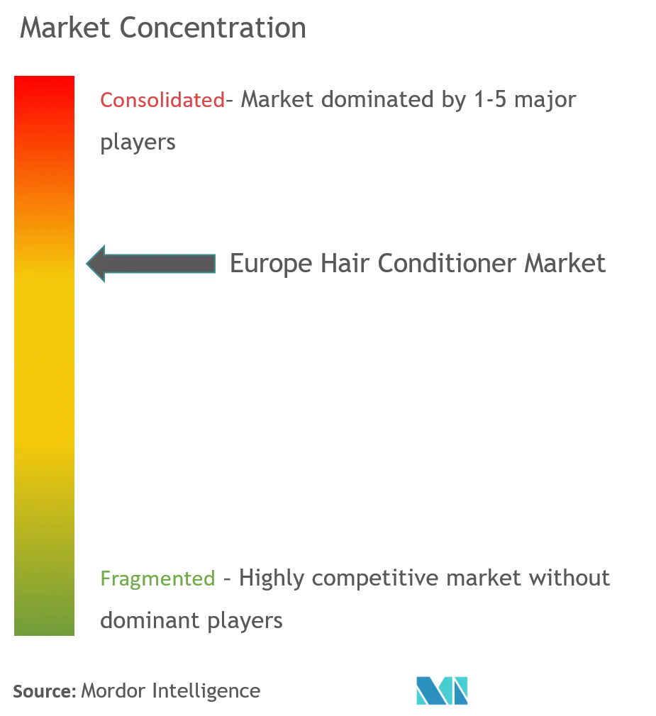 Produits coiffants en EuropeConcentration du marché