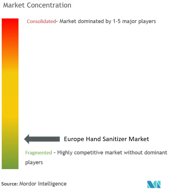 Desinfectante de manos en EuropaConcentración del Mercado