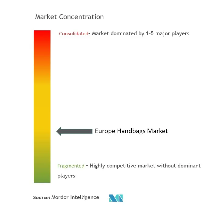 欧州ハンドバッグ市場の集中度