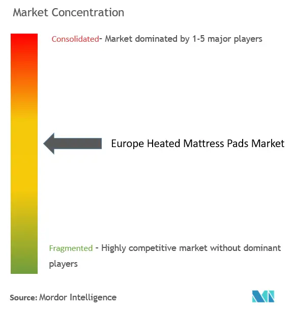 Europe Heated Mattress Pads Market Concentration