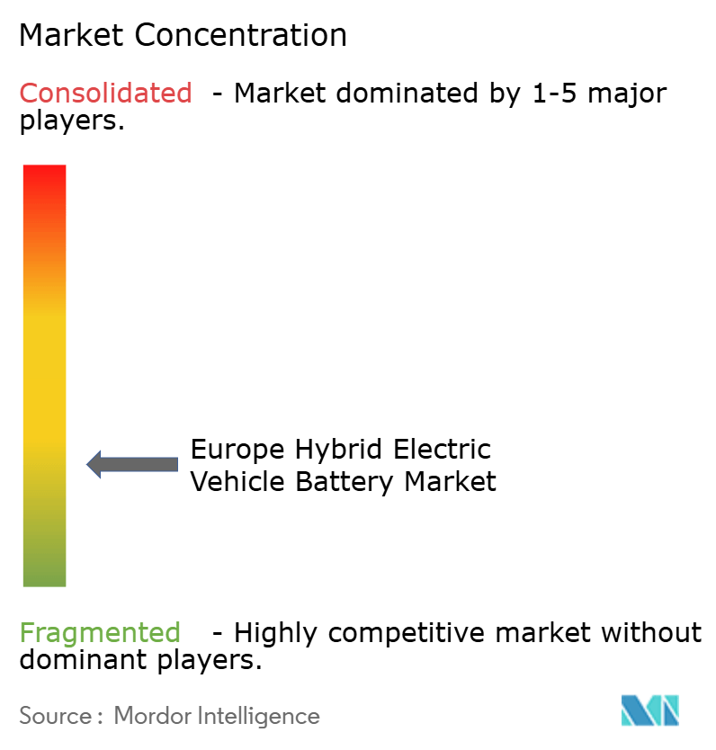 Europe Hybrid Electric Vehicle Battery Market Concentration