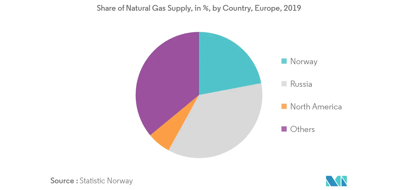 Share of Natural Gas Supply