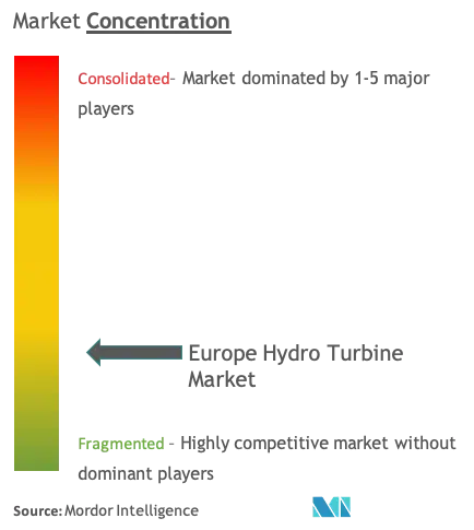 Turbine hydroélectrique européenneConcentration du marché