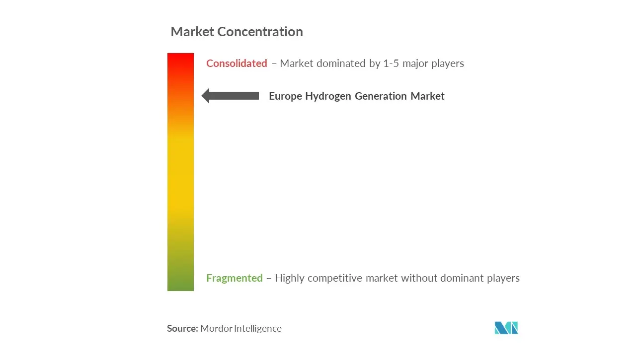 Europe Hydrogen Generation Market Concentration