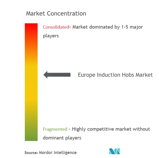 Europe Induction Hobs Market Concentration