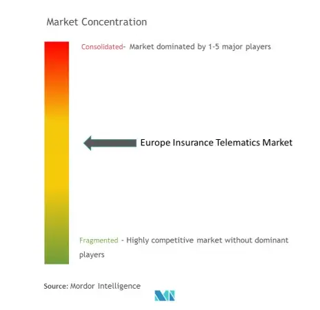 Europe Insurance Telematics Market Concentration