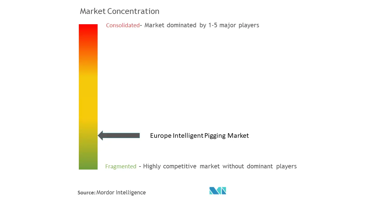 ヨーロッパのインテリジェントなピギング市場集中度