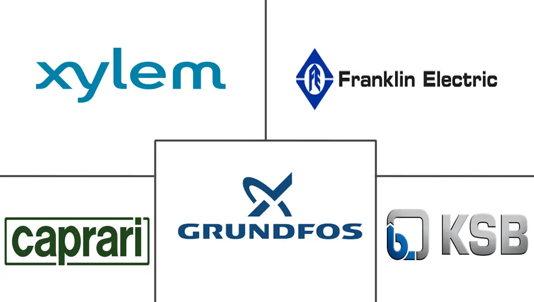 Major players in Europe Irrigation Pumps industry