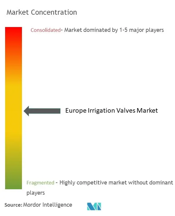 Europe Irrigation Valves Market Conc.jpg