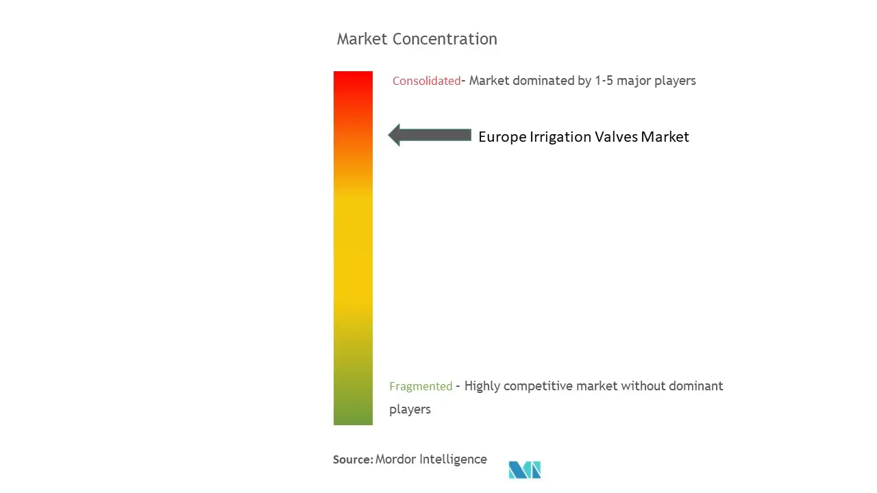 欧州灌漑用バルブ市場の集中度
