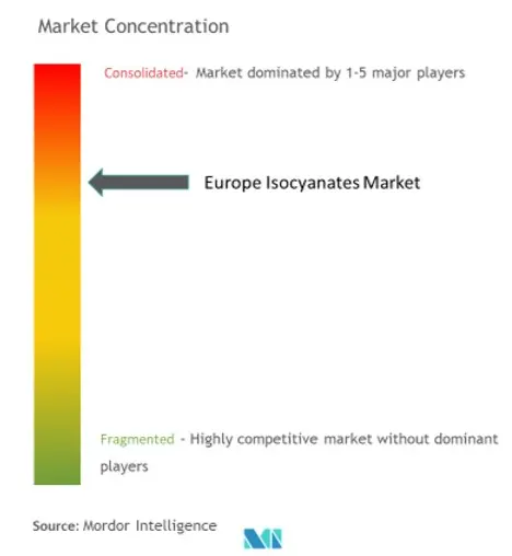 Europe Isocyanates Market Concentration