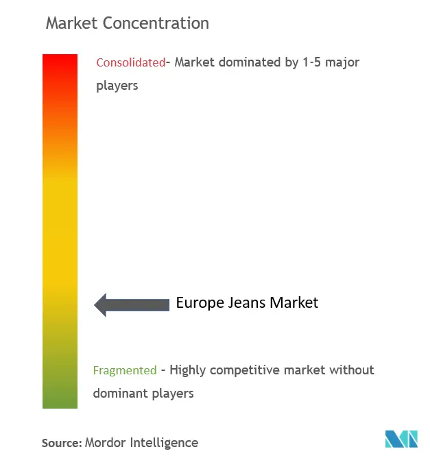 Europe Jeans Market Concentration