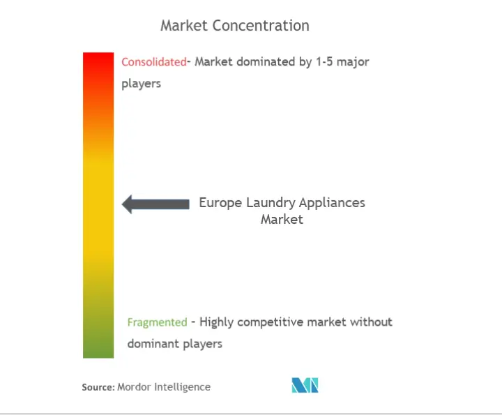 Europe Laundry Appliances Market Concentration