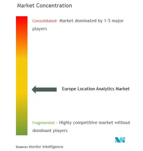 欧州ロケーションアナリティクス市場の集中度