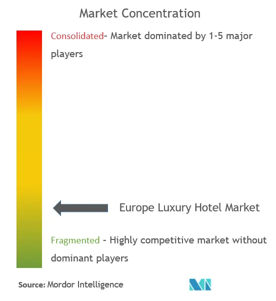 Europe Luxury Hotel Market Concentration