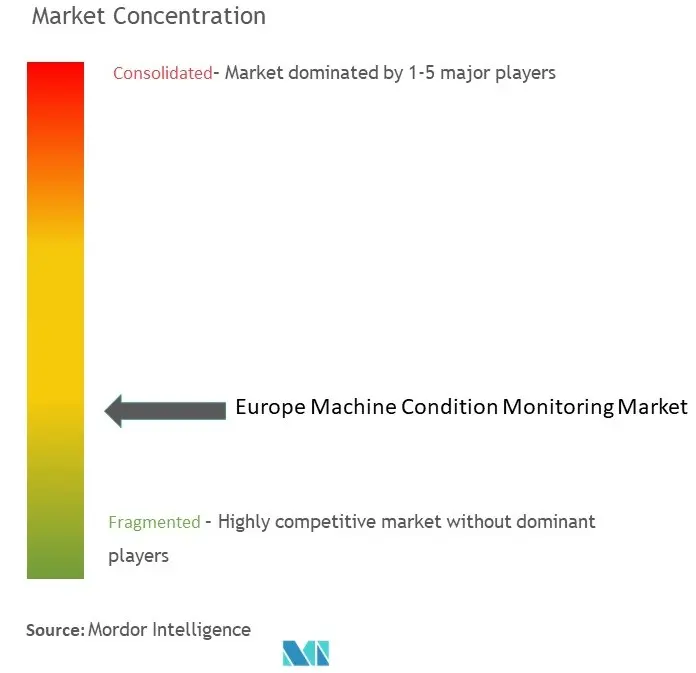 European Machine Condition Monitoring Market Concentration