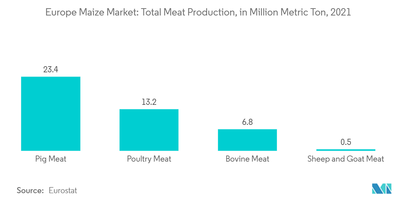 Европейский рынок кукурузы – общий объем производства мяса, в миллионах метрических тонн, 2021 г.