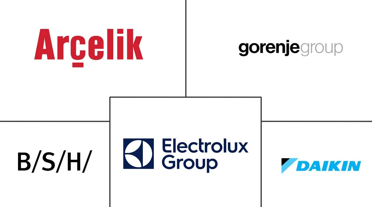 Principales actores del mercado de electrodomésticos en Europa