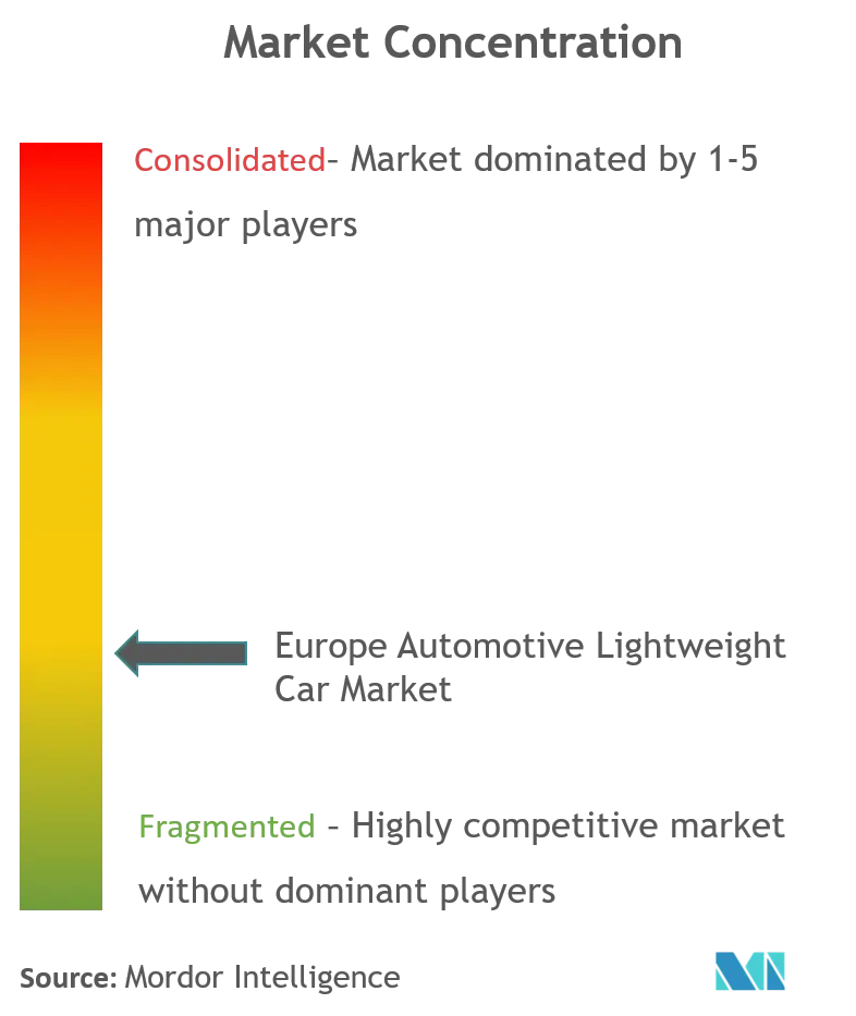 Europe Automotive Lightweight Car Market Concentration