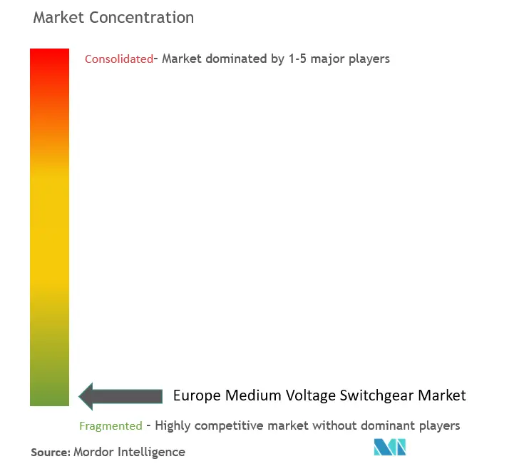 Europe Medium Voltage Switchgear Market Concentration