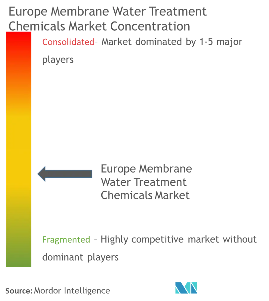 Europe Membrane Water Treatment Chemicals Market - Market Concentration.png