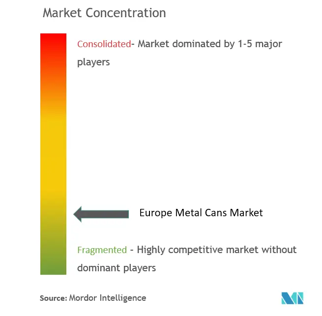 Latas de metal de EuropaConcentración del Mercado