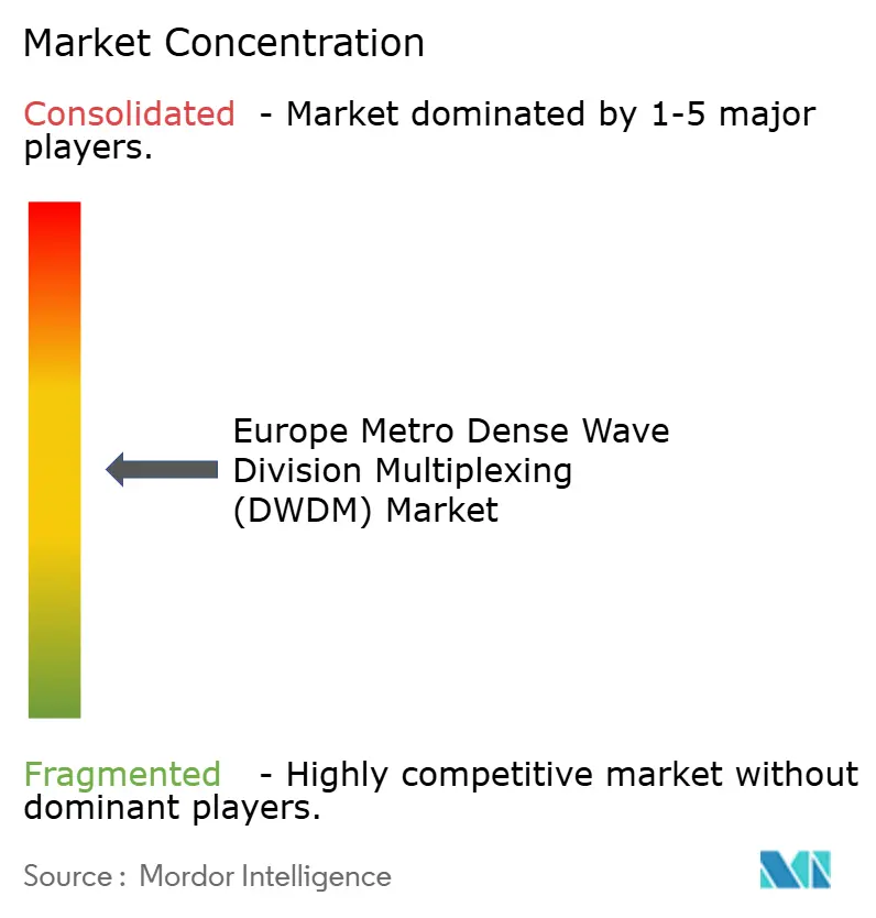 Europe Metro Dense Wave Division Multiplexing (DWDM) Market Concentration