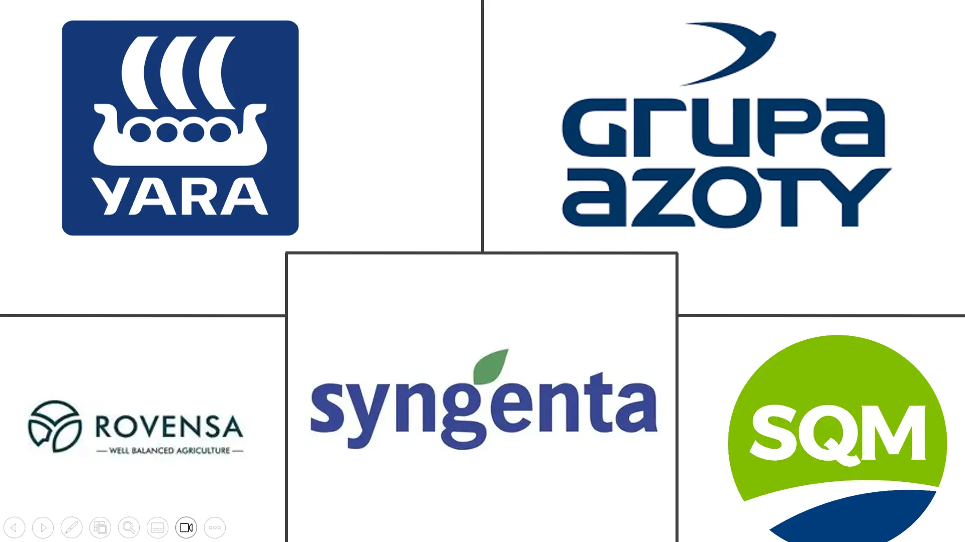 Principaux acteurs dans Marché Européen des Engrais aux Micronutriments industrie