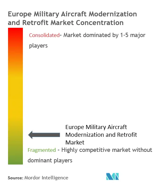 Modernización y modernización de aviones militares en EuropaConcentración del Mercado