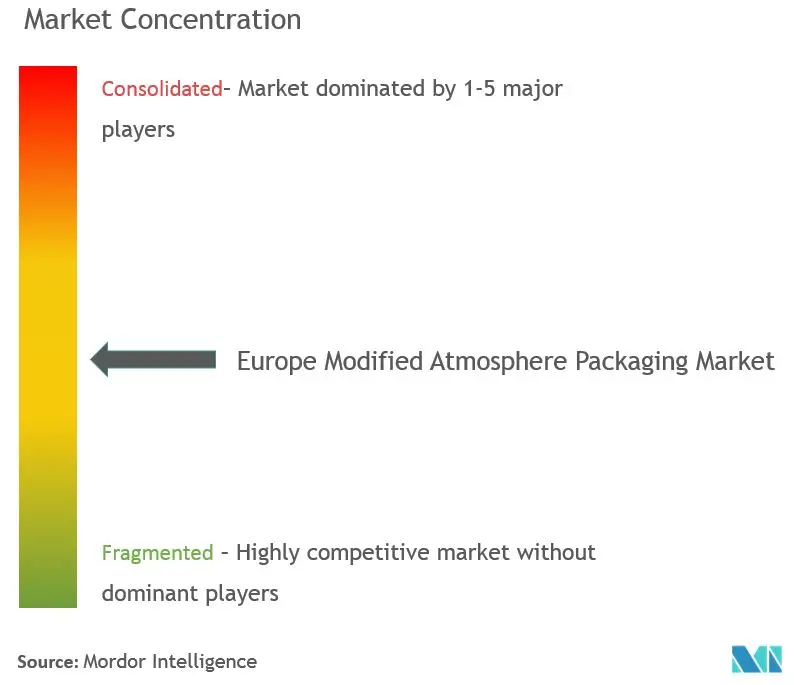 Europe Modified Atmosphere Packaging Market Concentration