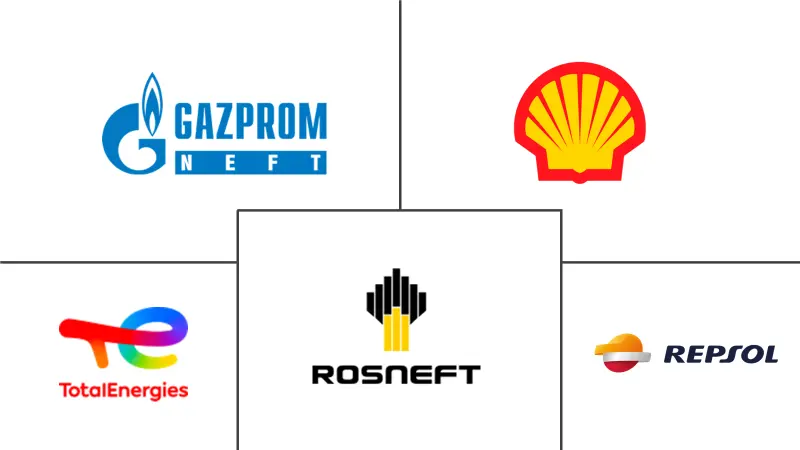 ヨーロッパの改質アスファルト市場の主要企業