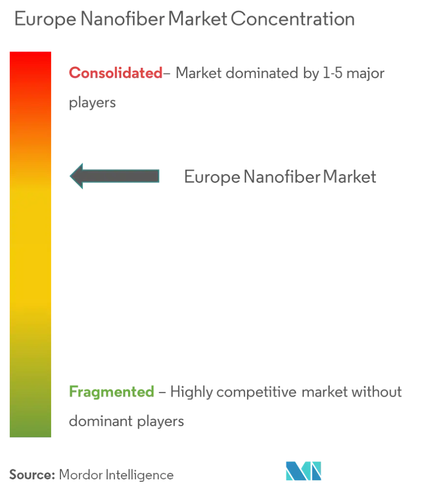 Концентрация рынка - Europe Nanofiber Market.png