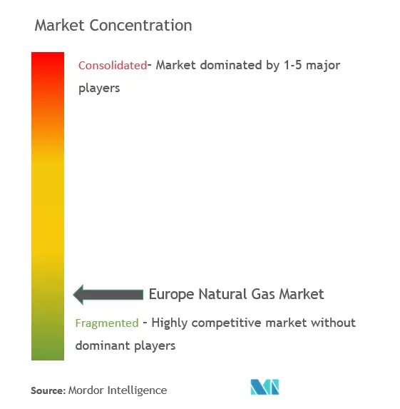 ヨーロッパ 天然ガス市場集中度