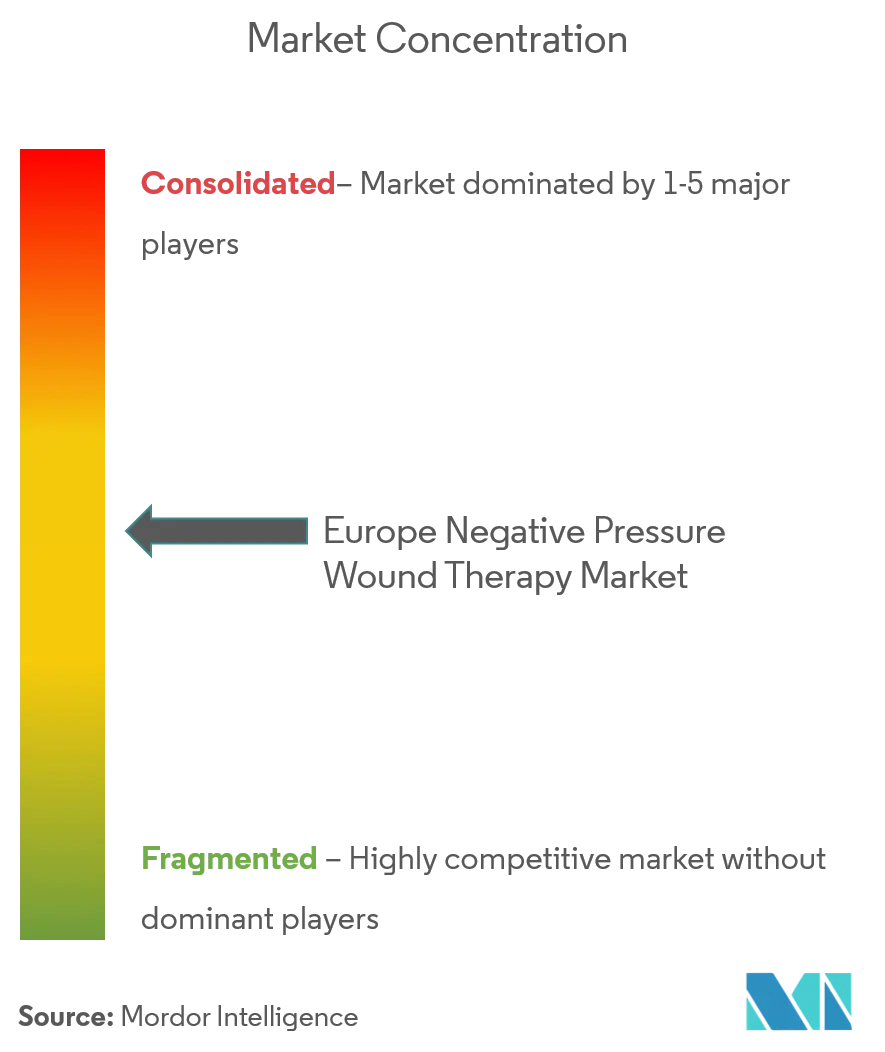 Europe Negative Pressure Wound Therapy Market.png