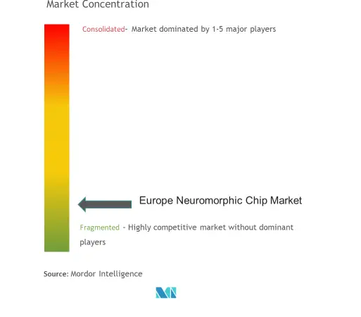 سوق الرقائق العصبية في أوروبا - تركيز السوق.png