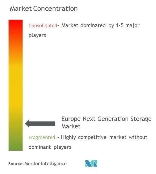 Europe Next Generation Storage Market Concentration