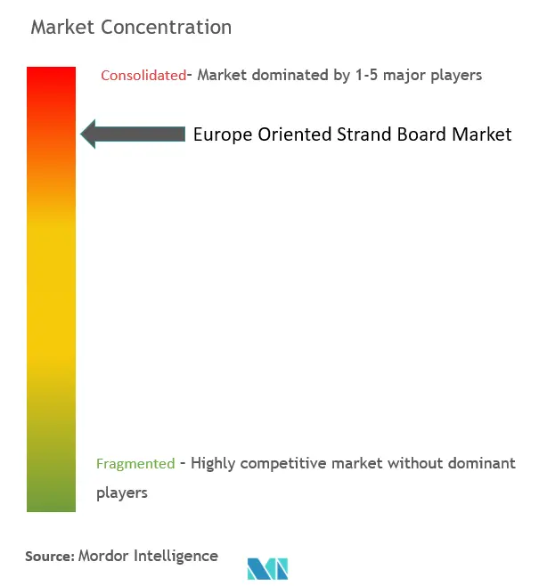 ヨーロッパ向けストランドボード市場集中度