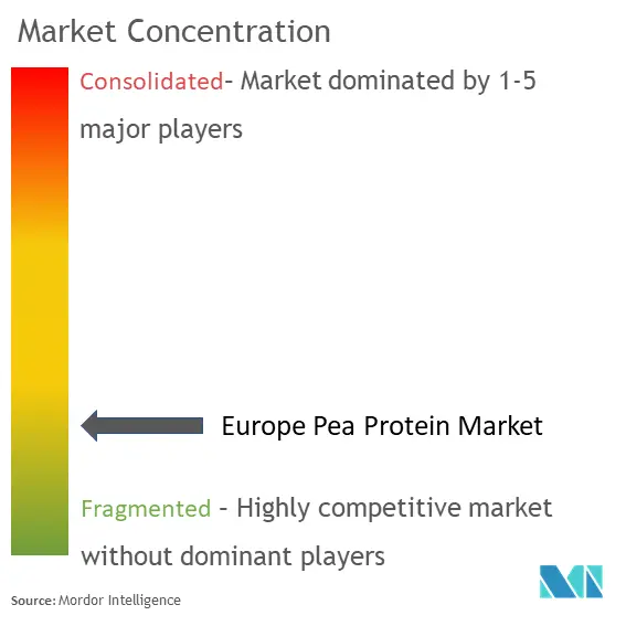 Europe Pea Protein Market Concentration
