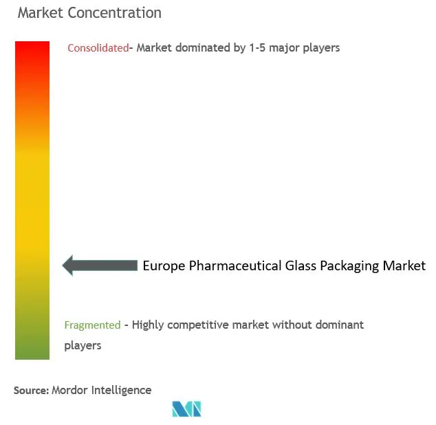 Europe Pharmaceutical Glass Packaging Market Concentration