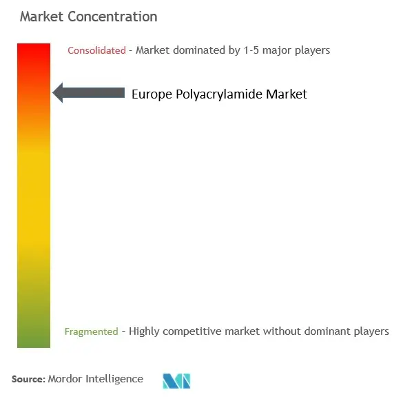 Europe Polyacrylamide Market Concentration