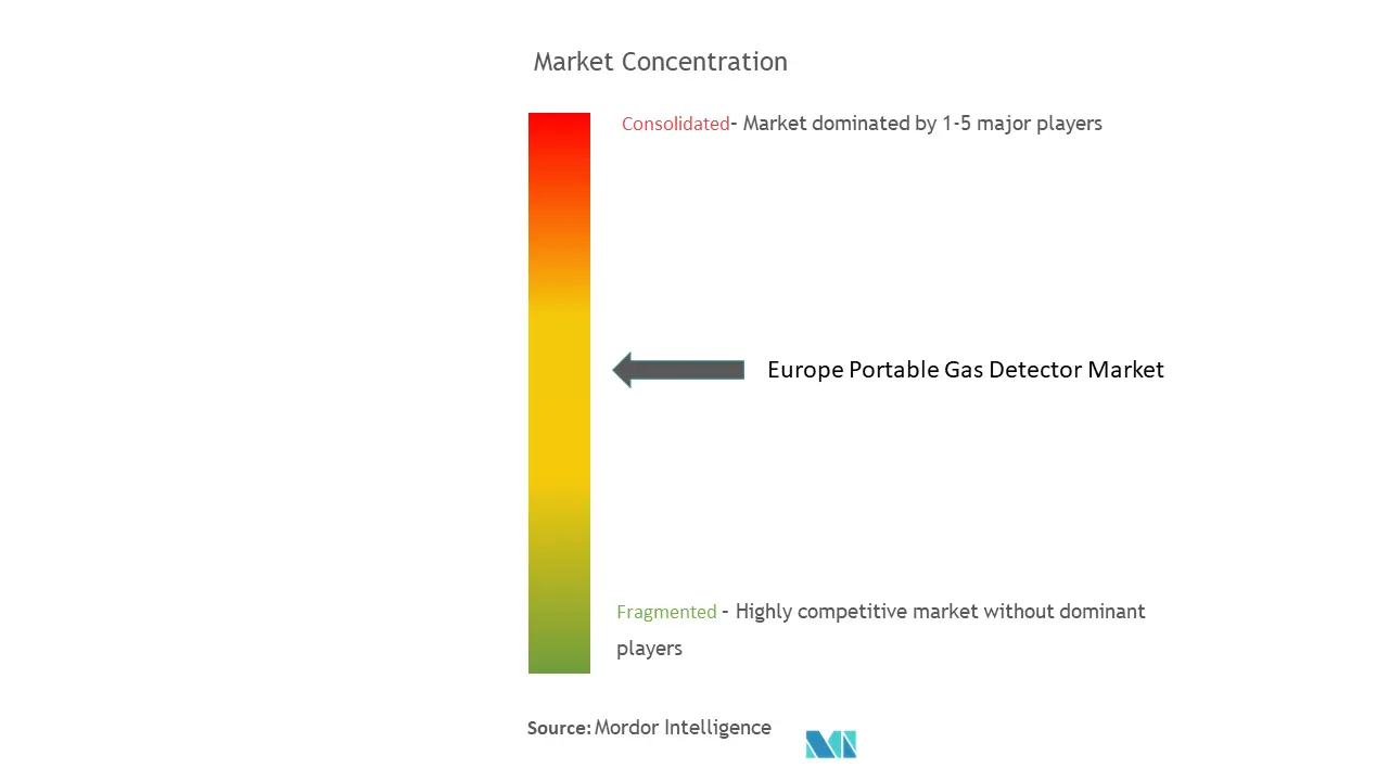 ヨーロッパのポータブルガス検知器市場集中度