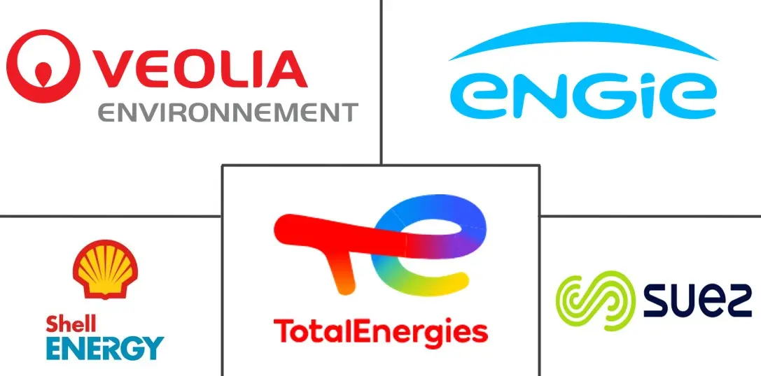 Major players in Europe Renewable Gas Waste Feedstock Management industry