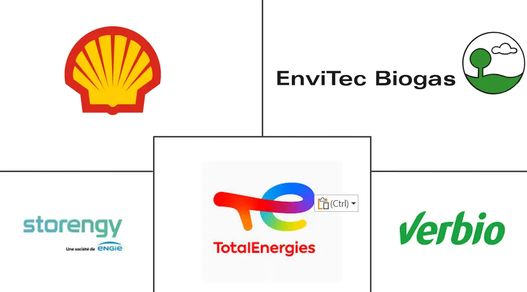 Major players in Europe Renewable Gas From Waste industry