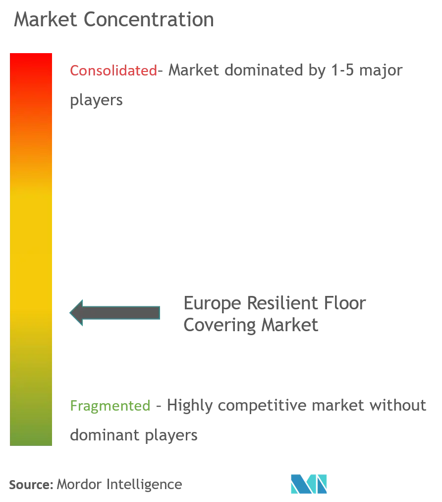 Europe Resilient Floor Covering Market Concentration