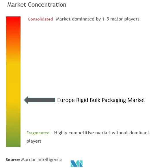 Europe Rigid Bulk Packaging Market Concentration