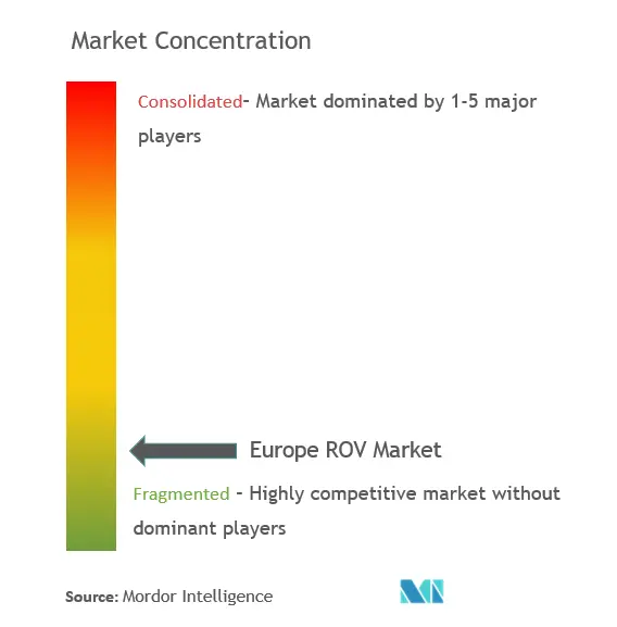 Europe ROV Market Concentration