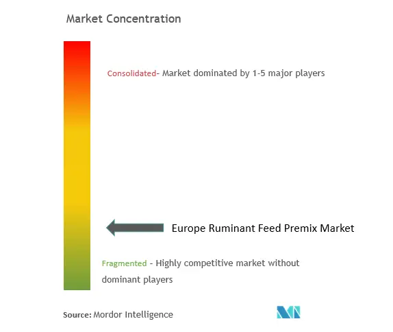 Europe Ruminant Feed Premix Market Concentration