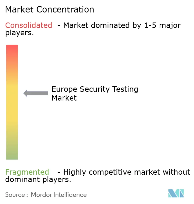 Europe Security Testing Market Concentration Europe Security Testing Market Concentration