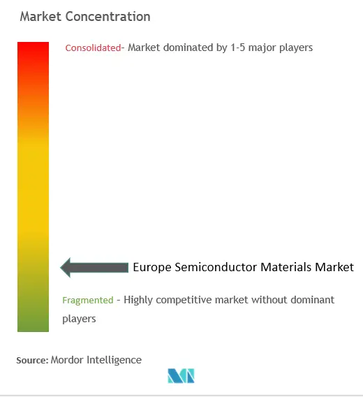 欧州半導体材料市場の集中度