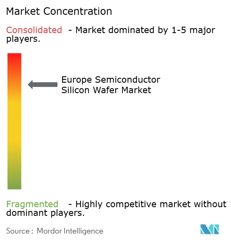 Europe Semiconductor Silicon Wafer Market Concentration